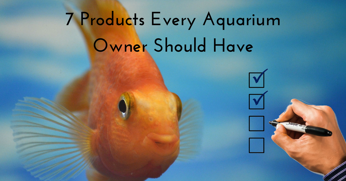 7 Products Every New Aquarium Owner Should Have